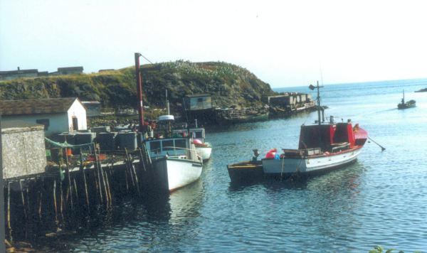 626: Red Island. The "Kittiwake" at the government wharf, with Maurice Barry's longliner in the harbor. (1994) [courtesy of Pius Mulrooney]